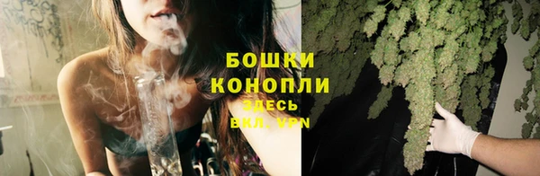 прущие грибы Балабаново