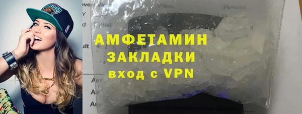 прущие грибы Балабаново