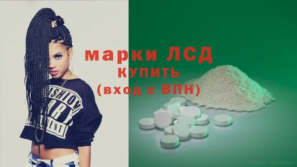 прущие грибы Балабаново