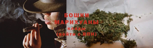 прущие грибы Балабаново