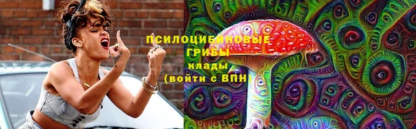 прущие грибы Балабаново