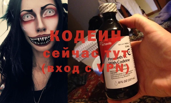 прущие грибы Балабаново