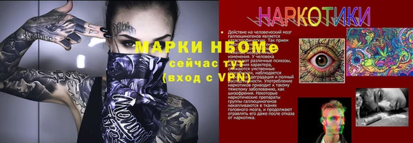 прущие грибы Балабаново