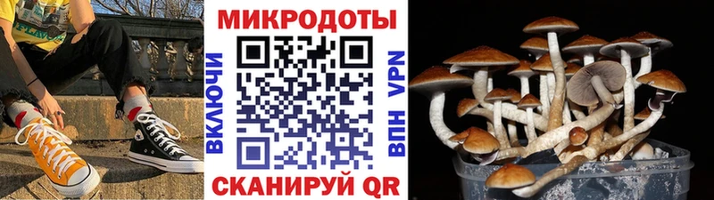 цены Губкинский Галлюциногенные грибы Magic Shrooms