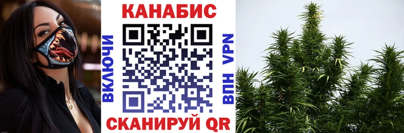 Каннабис AK-47 Губкинский