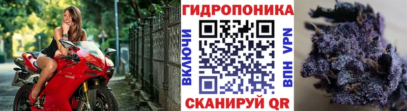 Бошки Шишки марихуана  Губкинский 